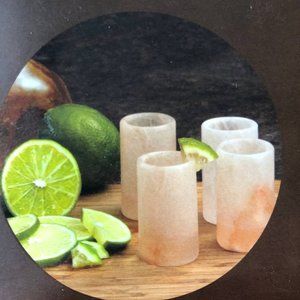 The Spice Lab Tequila Salt Shooters Hand-carved Shot Glasses 4 count